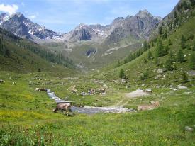Appartement Ferienwohnung Österreich