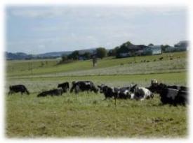 Bauernhof Wellness-Bereich