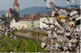 Pension Wellness-Bereich