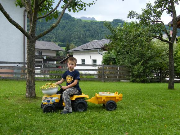Ferienhaus Ferienchalet Hallenbad
