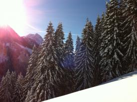 Apart Bellevue Pettneu am Arlberg