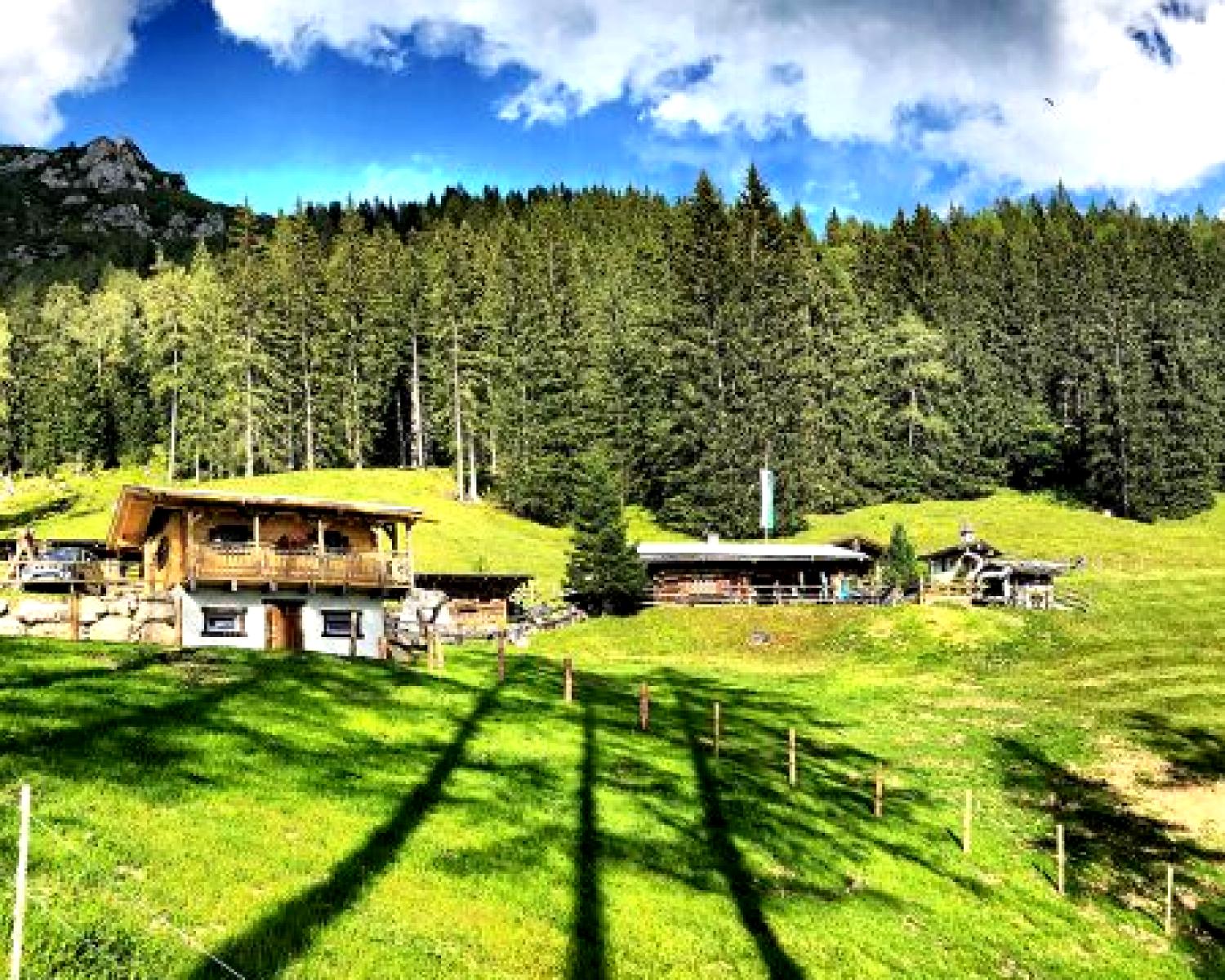 Bauernhof Schilehrer
