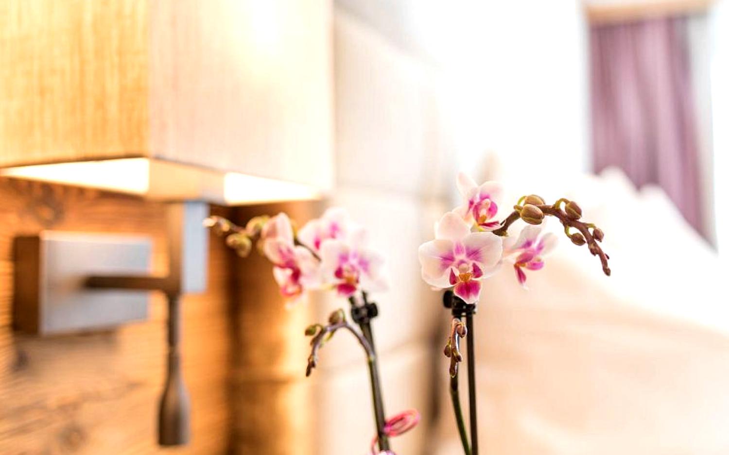 Gasthof / Restaurant Massage