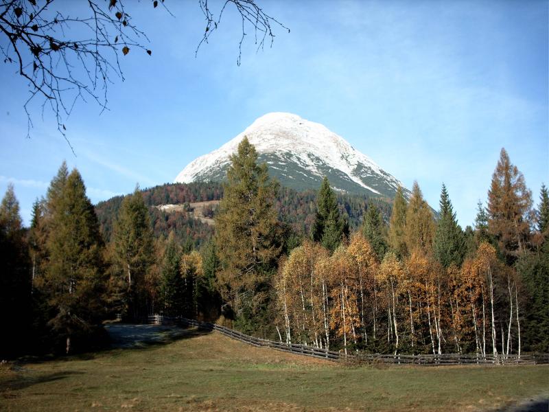 Appartement Ferienwohnung Frühstücksbuffet