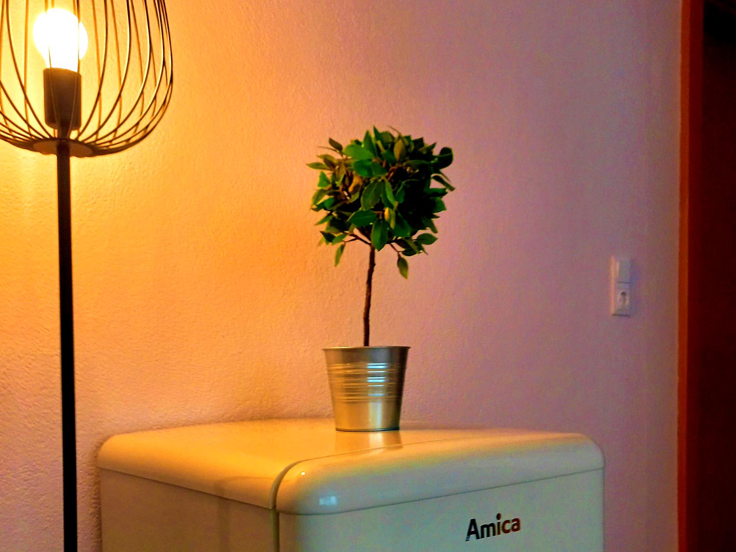 Appartement Ferienwohnung Sauna