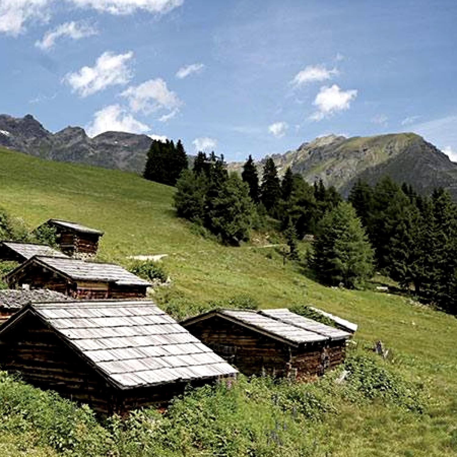 Hotel Bergführer