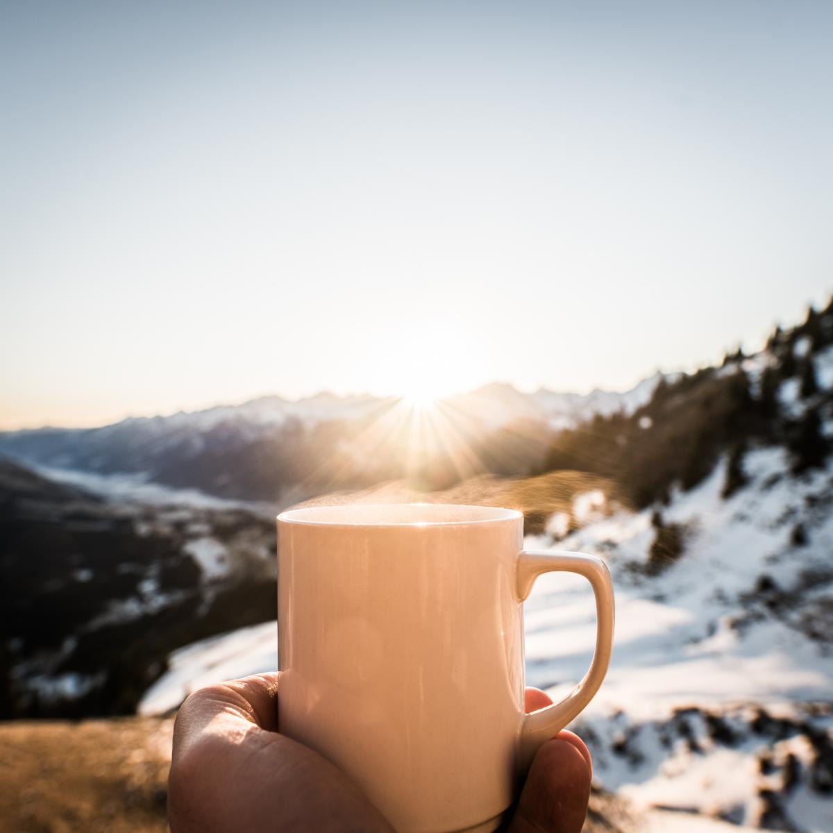 Fjellhytte Fjellhytte