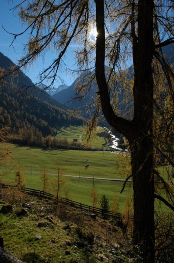 Pension Tirol