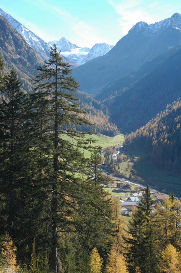 Pension Österreich