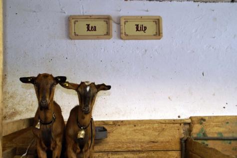 Bauernhof Wellness-Bereich