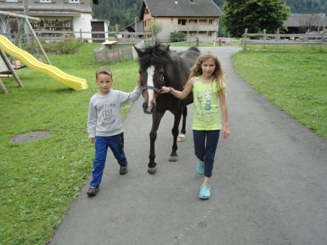 Bauernhof Reiten