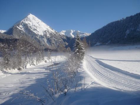 Bauernhof Österreich