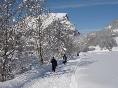 Bauernhof Vorarlberg