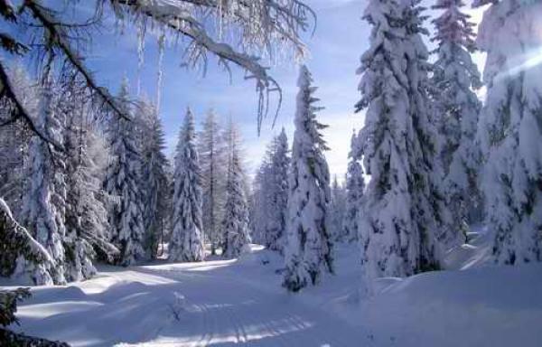 Appartement Ferienwohnung 3