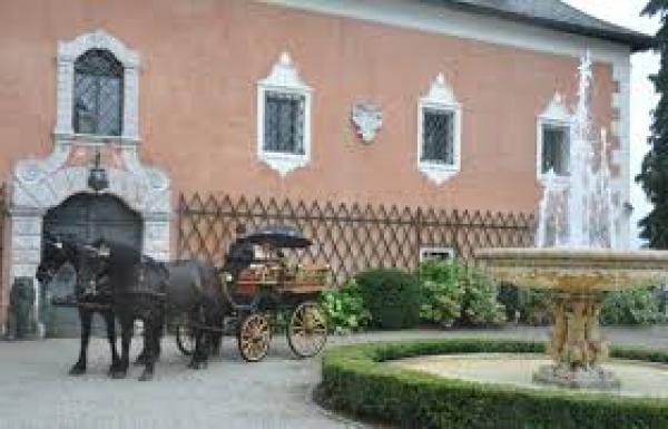 Appartement Ferienwohnung Österreich
