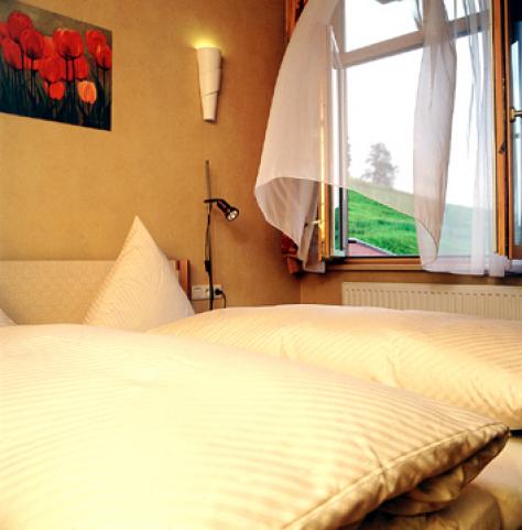 Appartement Ferienwohnung Schwimmbad
