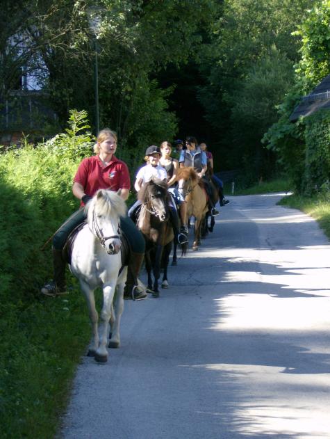 Bauernhof 3