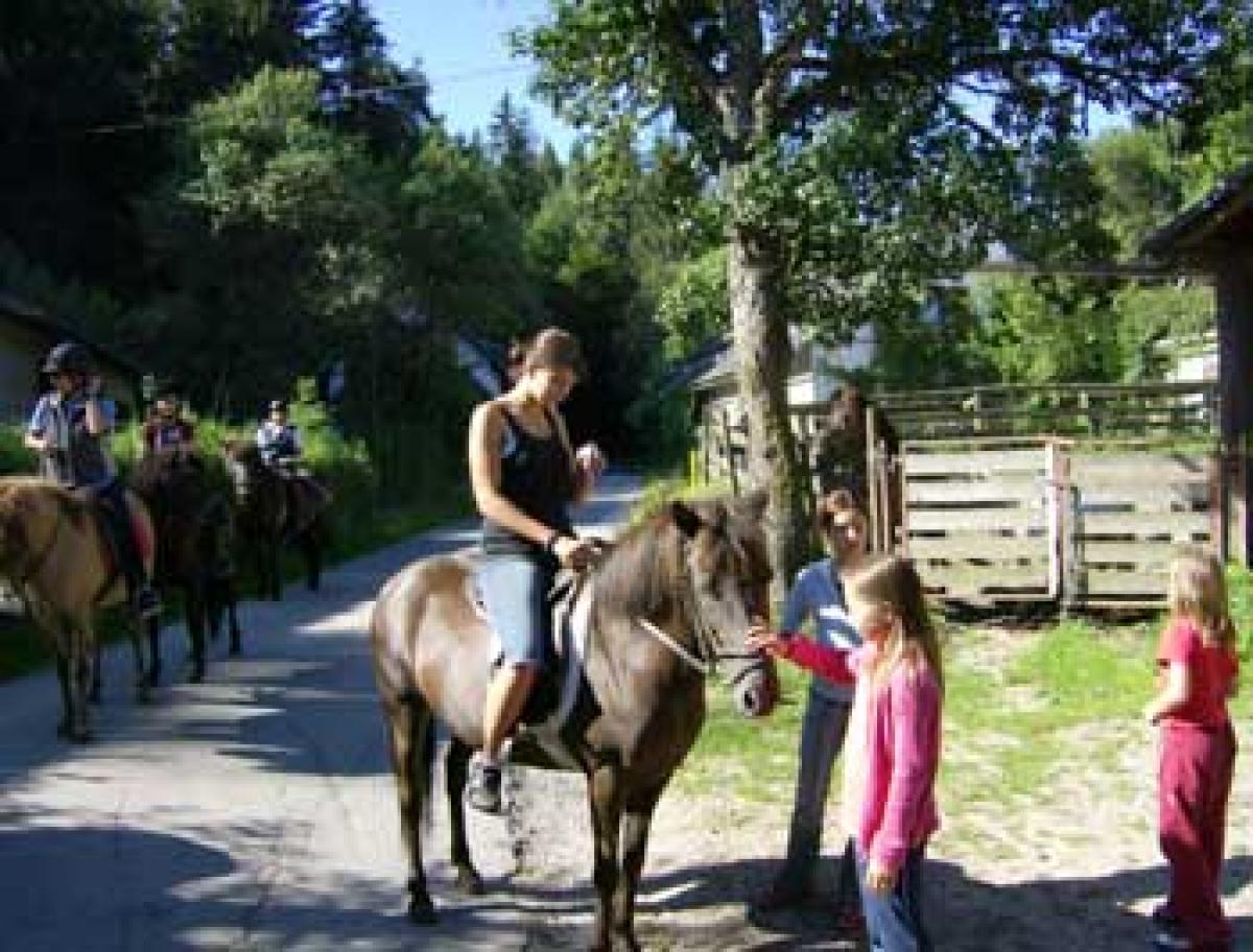 Bauernhof Schiverleih