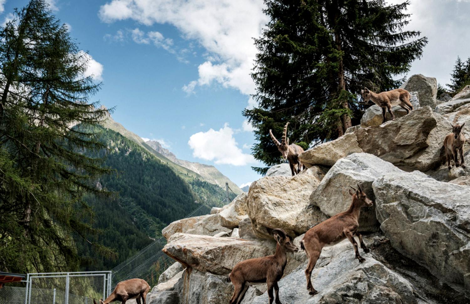 Hotel Grillen im Freien