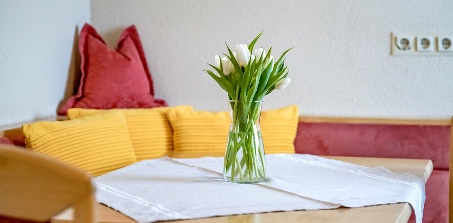 Appartement Ferienwohnung Schilehrer
