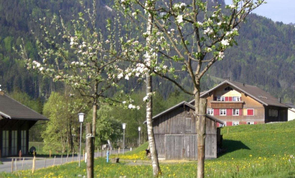 Appartement Ferienwohnung Österreich