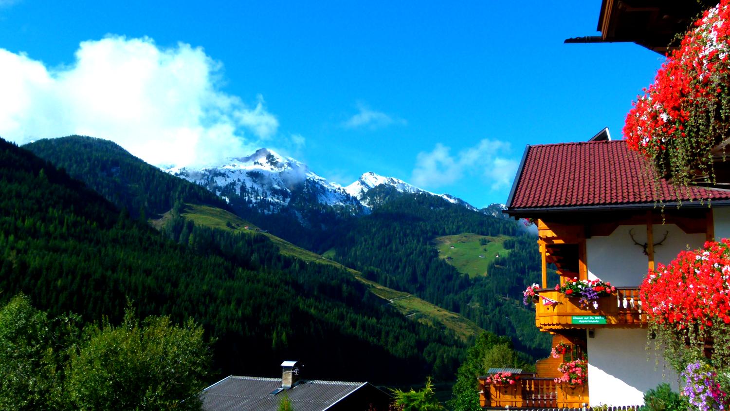 Pension Schwaz