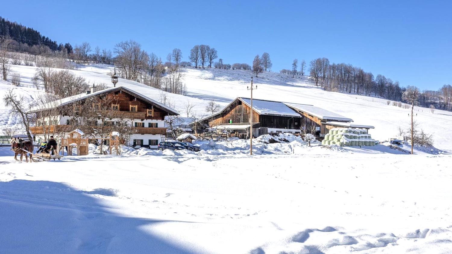 Bauernhof Österreich