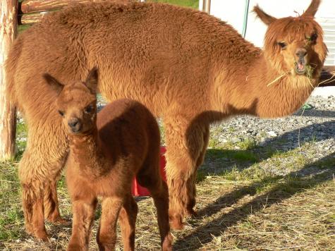 Hotel Wellness-Bereich
