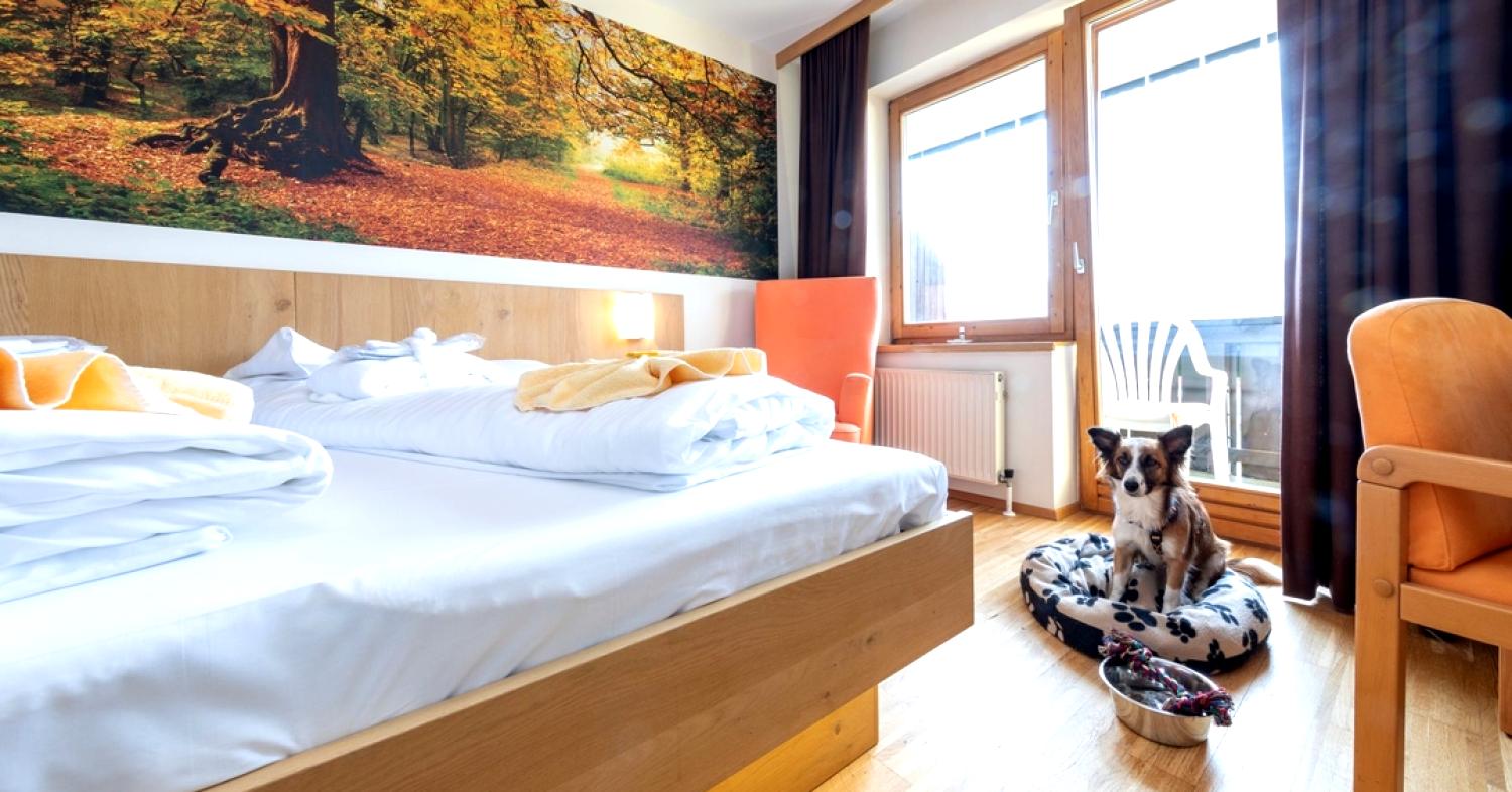 Hotel Centro di bellezza