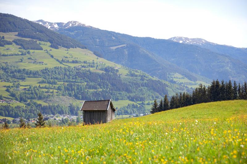 Privatvermieter Wellness-Bereich