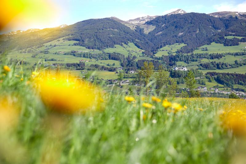 Privatvermieter Zell am See