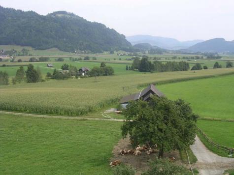 Bauernhof Österreich