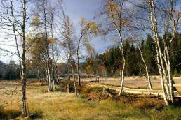 Bauernhof 72