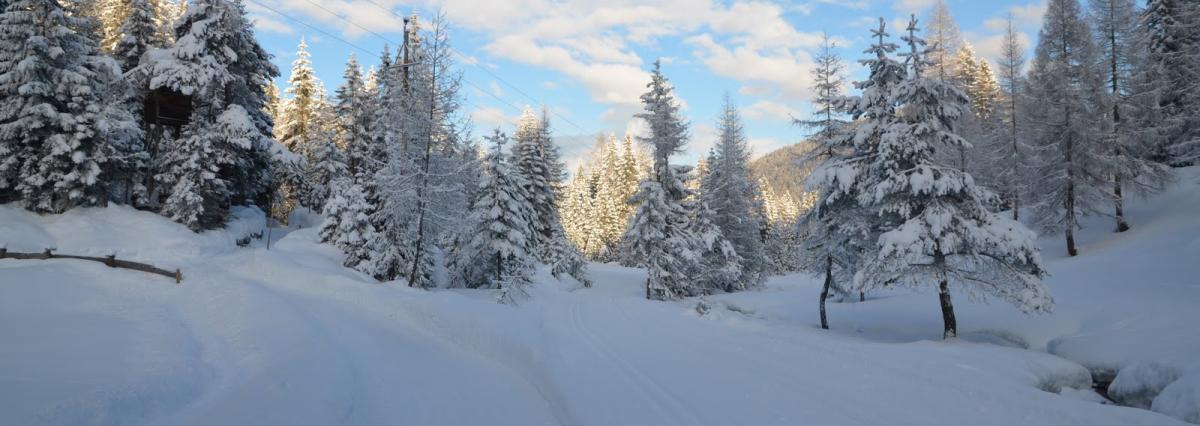DSC_0620.jpg