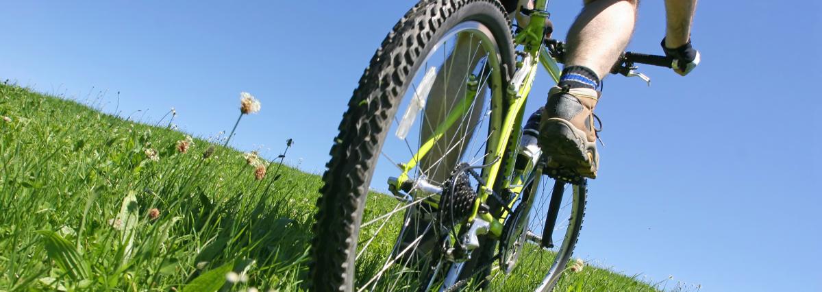 iStock_000000811278_Large.jpg