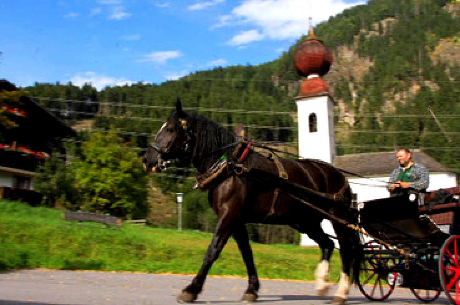 Gasthof / Restaurant Massage
