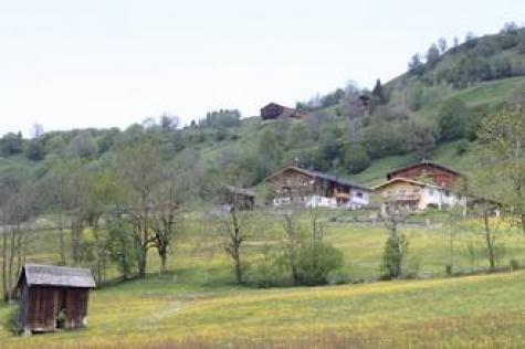 Appartement Ferienwohnung Österreich