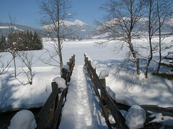 Appartamento vacanze 3