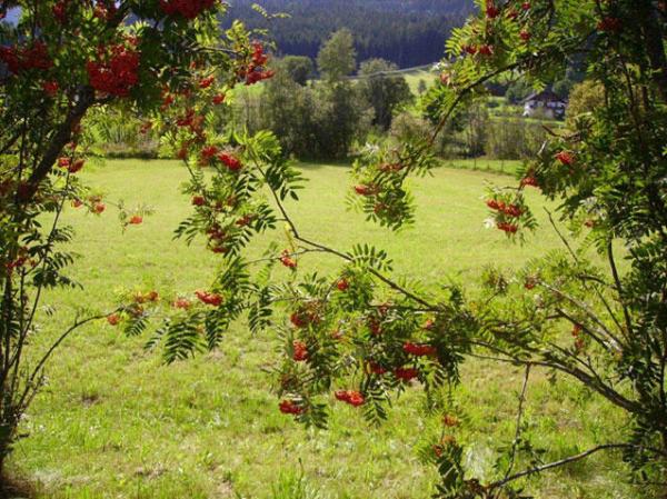 Appartamento vacanze Appartamento vacanze