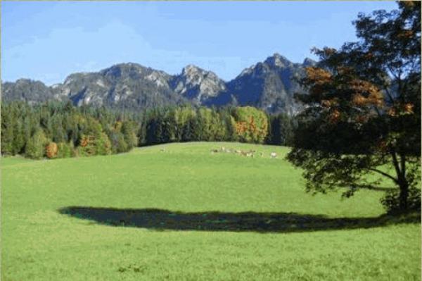 Appartement Ferienwohnung Reiten