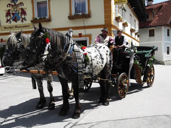 Pension Salzburg
