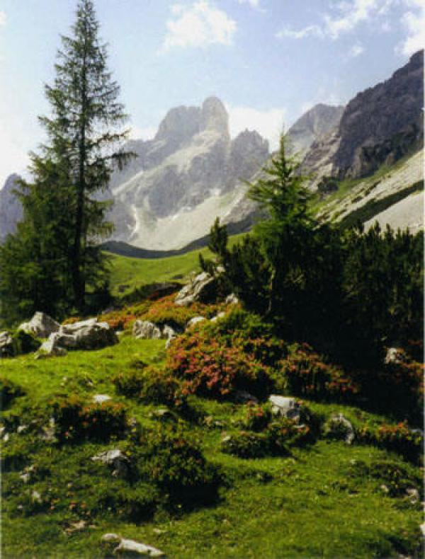 Bauernhof Bauernhof
