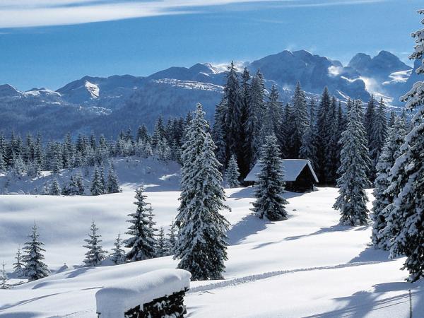 Kuća za odmor/bungalov Wellness