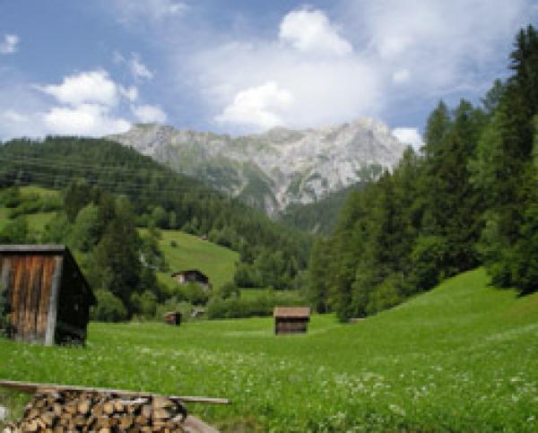 Bauernhof Bauernhof