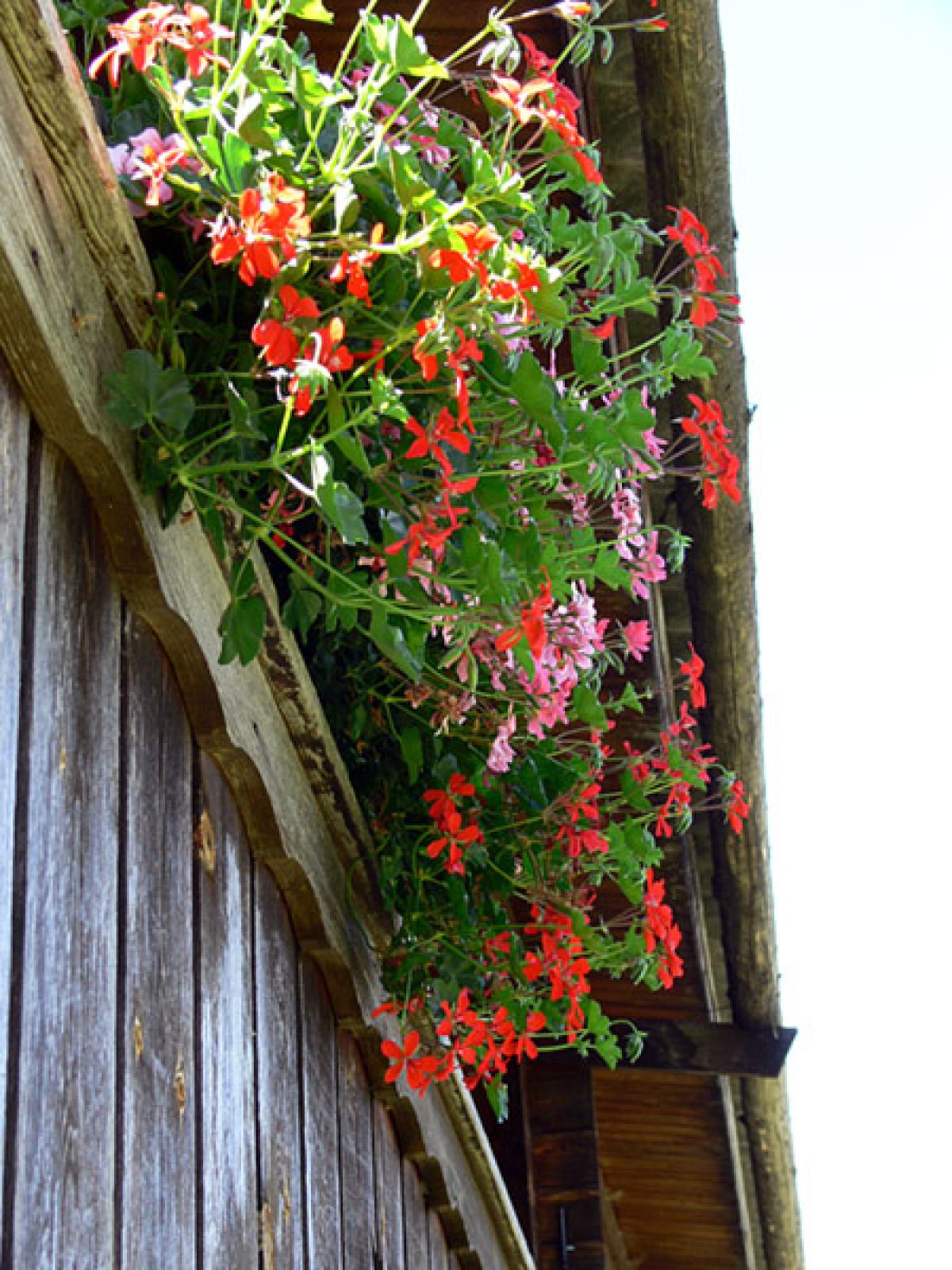 Gasthof / Restaurant Osttirol