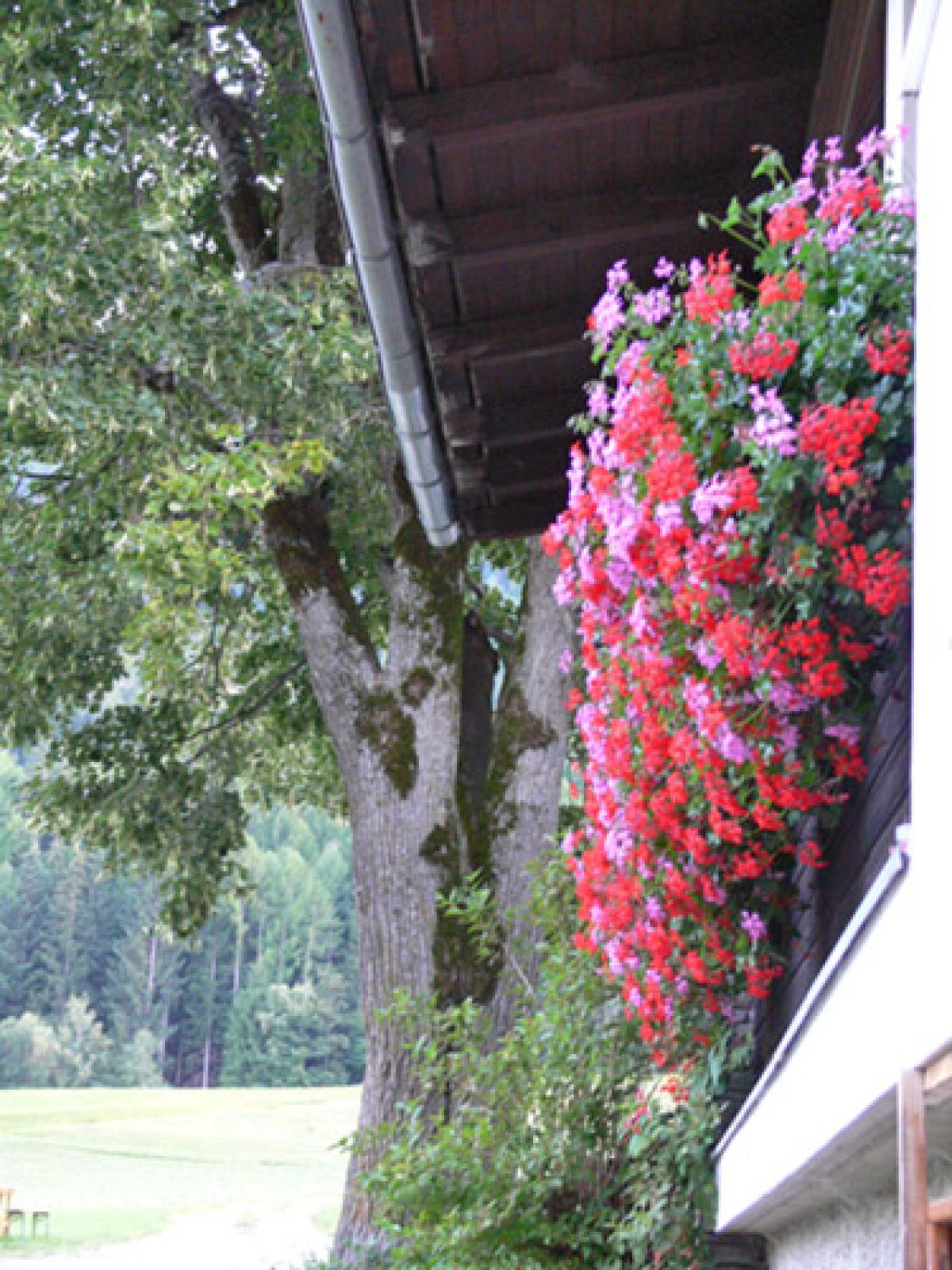 Gasthof / Restaurant Tirol