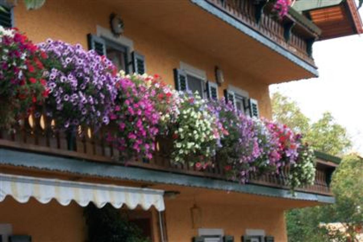 Bauernhof Bauernhof