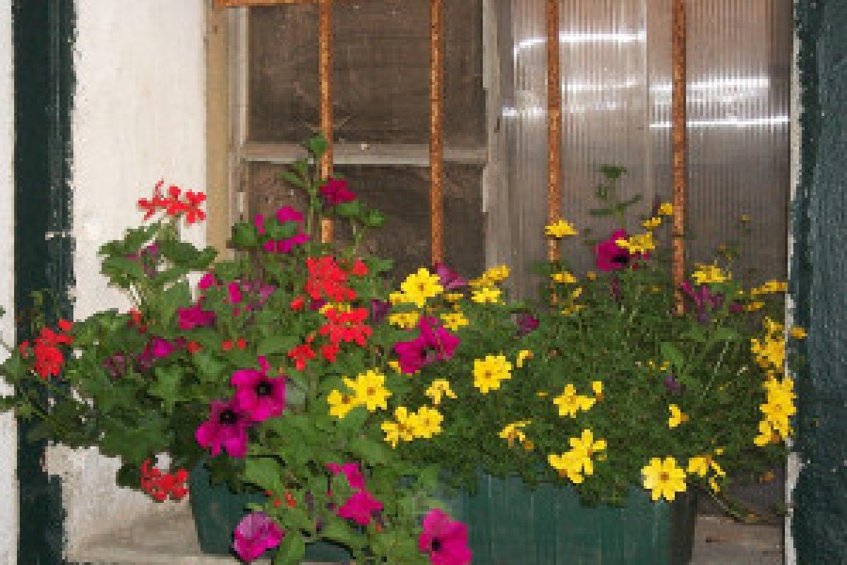 Bauernhof Beautyfarm