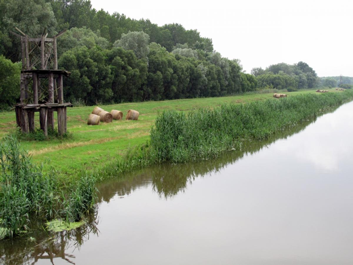 Bauernhof Burgenland