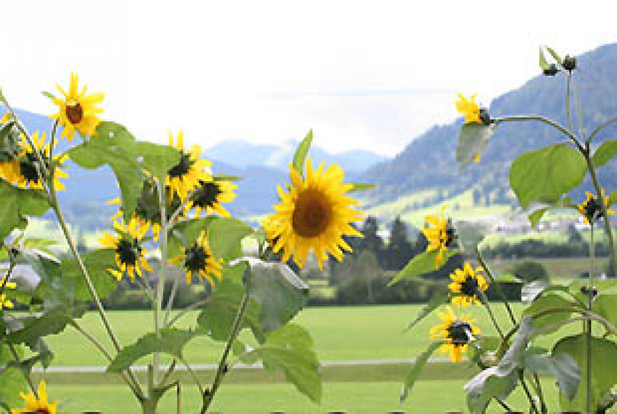 Bauernhof Whirlpool